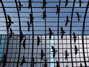 The Eaton Centre's “Flight Stop” art installation, which depicts 60 Canada geese mid-flight, will be temporarily removed during the mall's restoration.