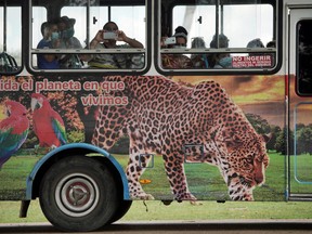 Visitors take pictures from inside a bus at the zoo in Havana, Cuba, Oct. 27, 2021.