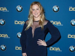 Amy Schumer poses at teh Directors Guild Of America Awards in February 2018.