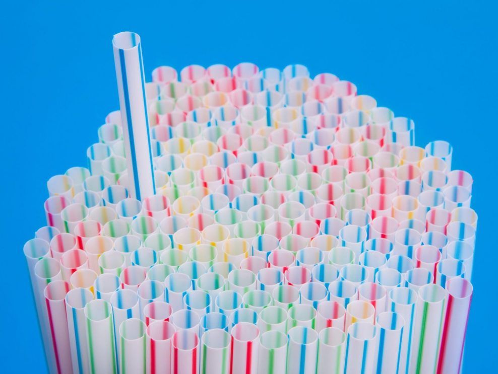 Federal government suspends export ban on single-use plastics