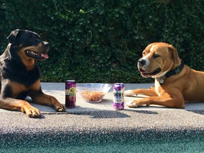 Denver (right) enjoys some summer fun with canine friend Luna.