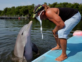 A dolphin interacts with its trainer Carlos Padron, amid concerns about the spread of the COVID-19 in Varadero, Cuba, April 10, 2020.