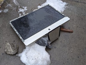 Eine Taube aus Brooklyn, NY, traf ihr vorzeitiges Schicksal, nachdem sie von einem iMac-Computer zu Tode gequetscht wurde.