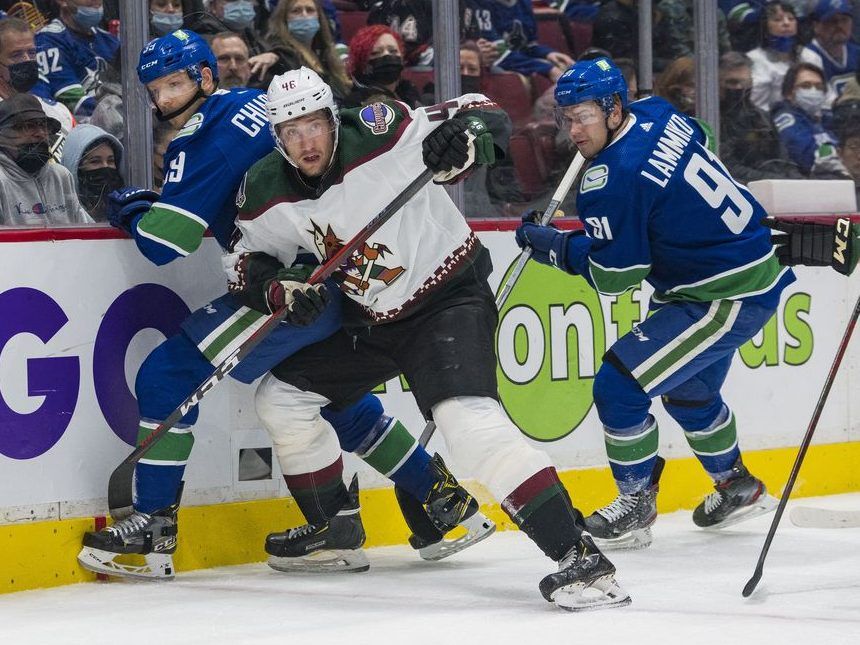 Arizona Coyotes defenseman Ilya Lyubushkin (46) in the first