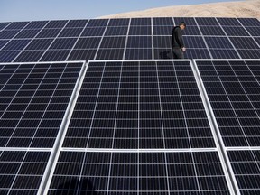 A worker walks near solar panels, which are one of the sustainable energy options that help olive farmers, in Mosul, Iraq February 2, 2022. Picture taken February 2, 2022.