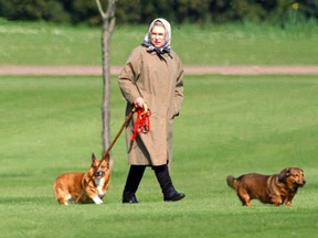 Queen Elizabeth walking Corgis 1994 - Getty