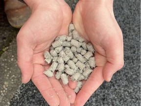 Small gray pellets made from shredded diapers have been added to the asphalt of a highway in Wales.