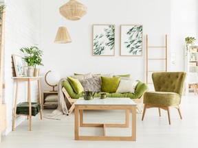 Interior trends to be highlighted at the show include how to bring more green into a space — with furniture, paint and plants.