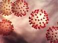 This handout file illustration image obtained February 27, 2020 courtesy of the Centers for Disease Control and Prevention and created at the Centers for Disease Control and Prevention (CDC) shows the coronavirus, COVID-19.