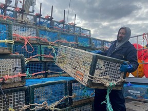 Nova Scotia lobster fisherman Lex Brukovskiy is shown loading traps in preparation for Lobster Fishing Area 34 opening day in Meteghan, N.S. on Nov. 30, 2020.