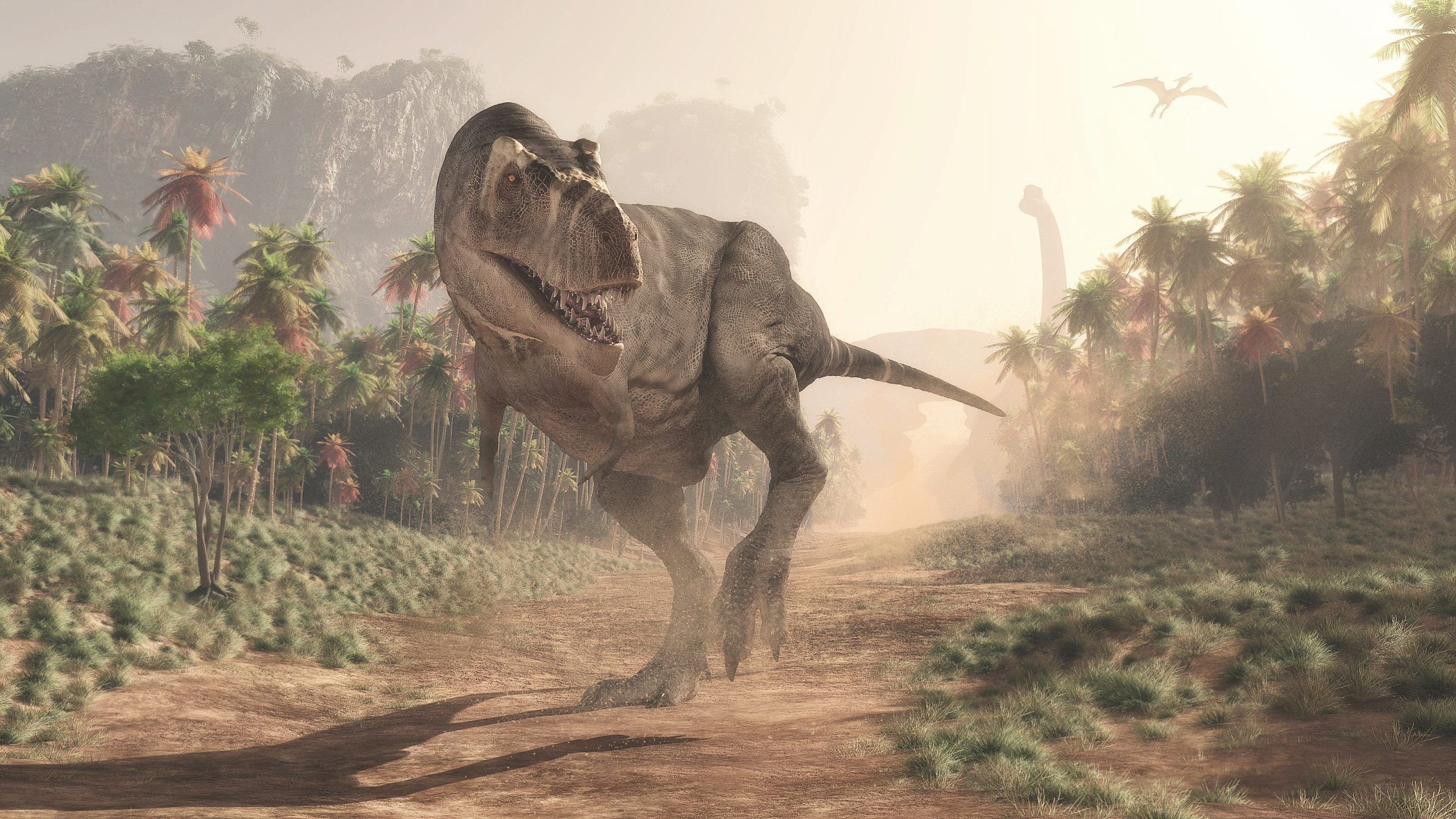 STUDY: Skeletal differences might mean three distinct T. Rex species