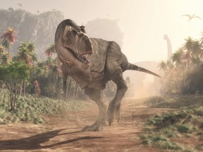 Millions of years after they roamed the earth, a new study says the ever-popular T. Rex dinosaur may actually be three distinct species.
