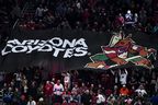 Fani trzymają znak Arizona Coyotes na trybunach podczas meczu National Hockey League na Gila River Arena w Glendale w Arizonie. 