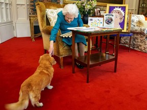 A picture released in London on Feb. 4, 2022, shows Queen Elizabeth II stroking Candy, her a Dorgi dog, as she looks at a display of memorabilia from her Golden and Platinum Jubilees, in the Oak Room at Windsor Castle, west of London.