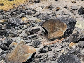 A Japanese 'killing stone' has split in two.