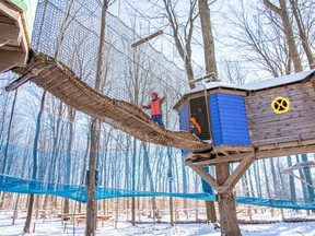 Walk through the air at Treetop Trekking’s Treewalk Village in Hamilton.