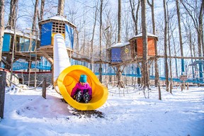 Kids can burn off their pent-up energy at the Treewalk Village at Treetop Trekking in Binbrook. HANDOUT