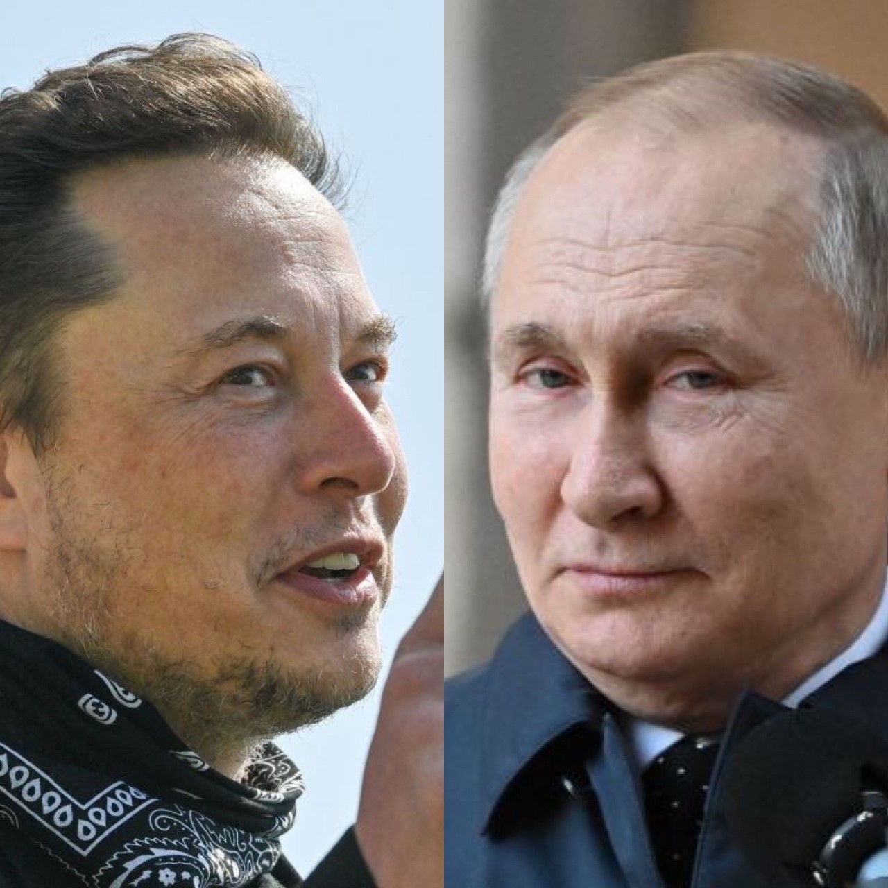 MORTAL 'COMBAT': Elon Musk Challenges Vladimir Putin To A Fight ...