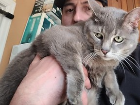 Dwight the cat -- seen in an image posted to Facebook -- is safe at home after being scooped up by a delivery driver, a Hamilton family says.