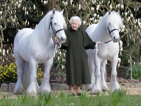 Queen Elizabeth holds her Fell ponies, Bybeck Nightingale (right) and Bybeck Katie in this handout picture released April 20, 2022 by The Royal Windsor Horse Show to mark the occasion of her 96th birthday.