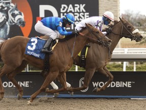 Patrick Husbands rides Dreaming of Drew to a victory in the $100,000 Long Branch Stakes at Woodbine on Saturday. Woodbine’s thoroughbred season opened with an eight-race card.