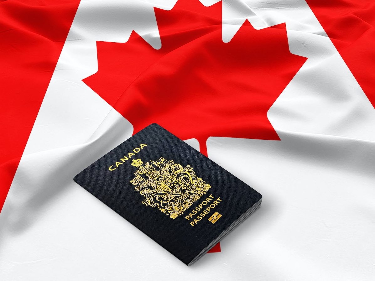 LILLEY: Trudeau appointing cabinet committee to fix passport issues laughable