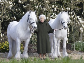 Prince Harry And Meghan 'Addicted To Drama', New Royal Book Claims This New Portrait Of Queen Elizabeth Is Released By The Royal Horse Show At Windsor On The Occasion Of Her 96Th Birthday.