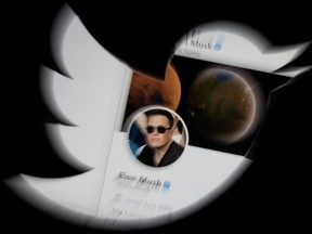 Elon Musk's Twitter account is seen through Twitter logo in this illustration.