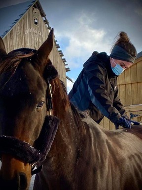 Dr. Taron Carruthers doing an initial assessment of a retired Thoroughbred racehorse named Teddy in Burks Falls, Ontario.