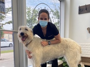 Dr. Taron Carruthers at The Dog Joint in Toronto with her largest patient, Floki, a six-year-old Irish wolfhound who visits for routine chiropractic adjustments and laser therapy to keep her moving and feeling great.