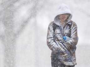 Sophie McKenzie, a third year Western student, walks through the heavy snowfall on campus in London, Ont., April 18, 2022.