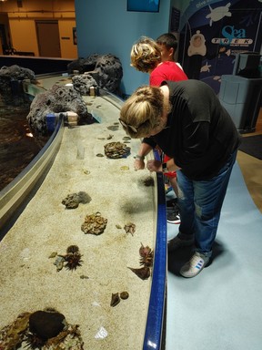 Visitors enjoy the touch experience at Mississippi Aquarium in Gulfport, Miss.