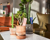 One of Catbird Hotel’s lending programs is a plant library. (Catbird Hotel)