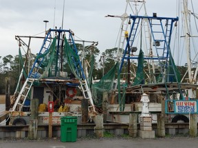 Some of the shrimping fleet in Ocean Springs, Miss.