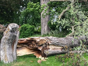 The deadly storm that roared across southern Ontario on the Victoria Day long weekend left a path of destruction in its wake.