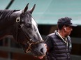 Preakness entrant Creative Minister is led back to the barn following a training session for the 147th Running of the Preakness Stakes at Pimlico Race Course on May 19, 2022 in Baltimore, Maryland.