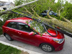 Vehicles remain crushed under trees and power lines in the Ottawa Valley community of Carleton Place, Ont. on Tuesday, May 24, 2022, after a major storm hit parts of Ontario and Quebec on Saturday leaving extensive damage.v
