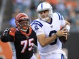 Chad Kelly of the Indianapolis Colts runs with the ball during the game against the Cincinnati Bengals at Paul Brown Stadium on August 29, 2019 in Cincinnati, Ohio.