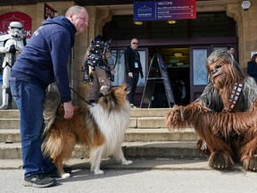 A dog reacts to Will Hyde from Darlington as he dresses as the Star Wars character Chewbacca on the first day of the Scarborough Sci-Fi weekend at the seafront Spa Complex on April 09, 2022 in Scarborough, England. (Photo by Ian Forsyth/Getty Images)