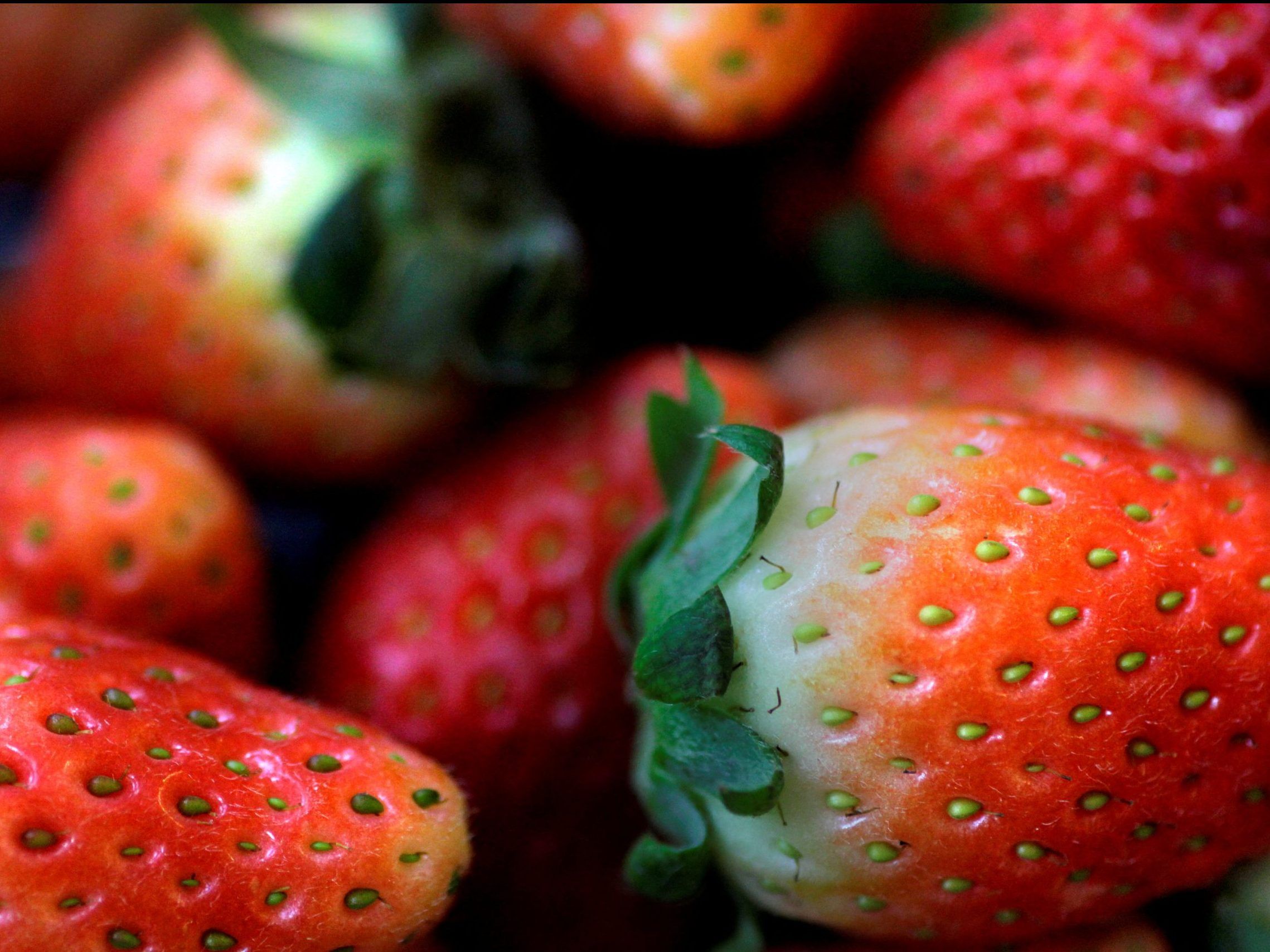 Officials investigate Hep A outbreak linked to organic strawberries