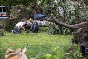 Am Sonntag, dem 22. Mai 2022, waren Menschen unterwegs, um einige umgestürzte Bäume in der Gegend von Stittsville zu säubern, nachdem die Hauptstadtregion am Tag zuvor von einem zerstörerischen Sturm heimgesucht worden war.