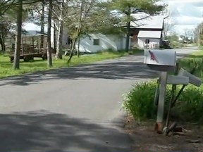 A New York state woman ended up in hospital after being attacked by a black bear while checking her mail, according to reports.