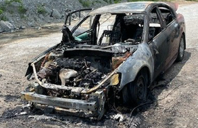The burned out car. Williamson Fire and Rescue/Facebook