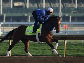 Tiz the Bomb during the morning training for the Kentucky Derby at Churchill Downs on May 02, 2022 in Louisville, Kentucky.