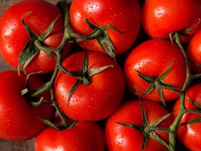 A research team led by scientists in Britain have edited the genetic makeup of tomatoes to become a robust source of vitamin D.