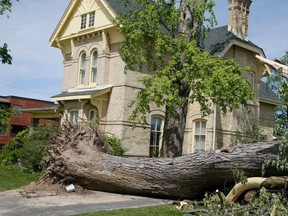 Der Sturm vom Samstag riss Bäume um und verursachte weitere Schäden in Uxbridge, das am Montag noch ohne Strom war.  (Veronica Henri/Toronto Sun)