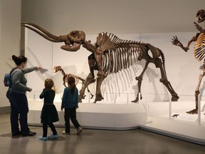 Planet Ice: Mysteries of the Ice Ages, the Canadian Museum of Nature's special show for the summer, is back on in Ottawa.