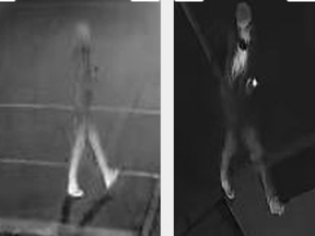 Grainy images released by Toronto Police of a man sought in a May 1, 2022 sex assault at Richmond St. W. and Tecumseth St.