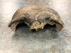 A fragment of a human skull believed to date back nearly 8,000 that was found by kayakers on the Minnesota River.