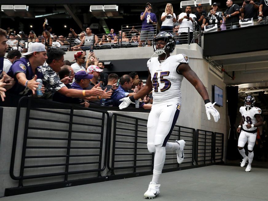 Jaylon Ferguson, Baltimore Ravens Linebacker, Dies at 26 - The New York  Times